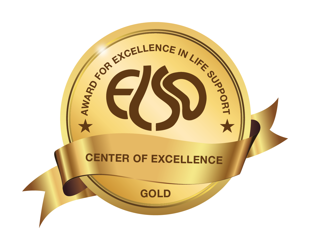 Extracorporeal Life Support Organization (ELSO) Award of Excellence