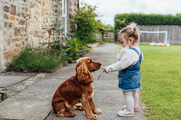 Ages and Stages = 2 years