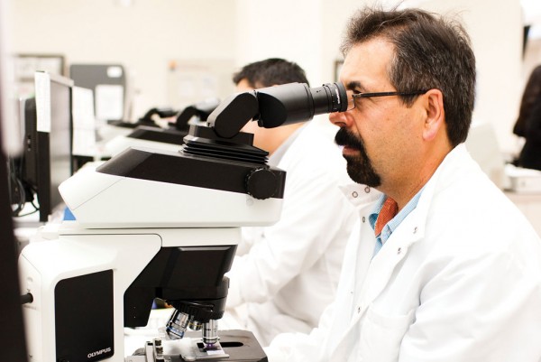 Scientist in the lab looking into the microscope