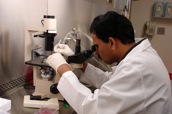 Scientist looking through microscope in the lab