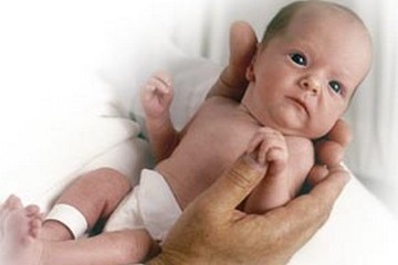 Preemie nestled in adult hands