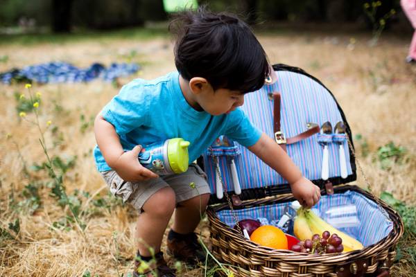 Young toddler boy reaching into picnic basket