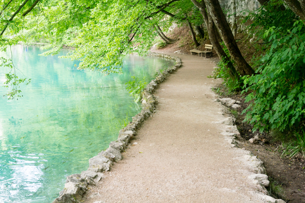 Peaceful pathway along side lake