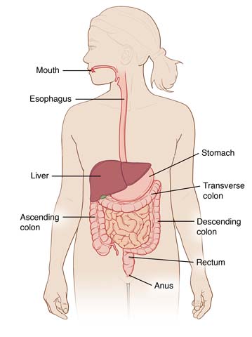 Crohn's Disease - Children's Hospital of Orange County