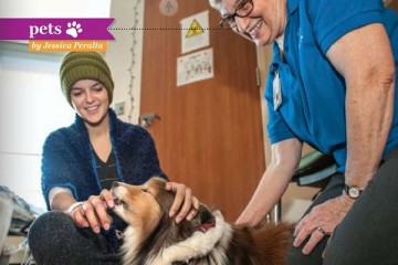 Pet therapy dog with patient