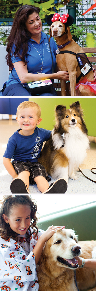 Through the Eyes of a Pet Therapy Dog