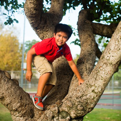 Boy climbing a tre3