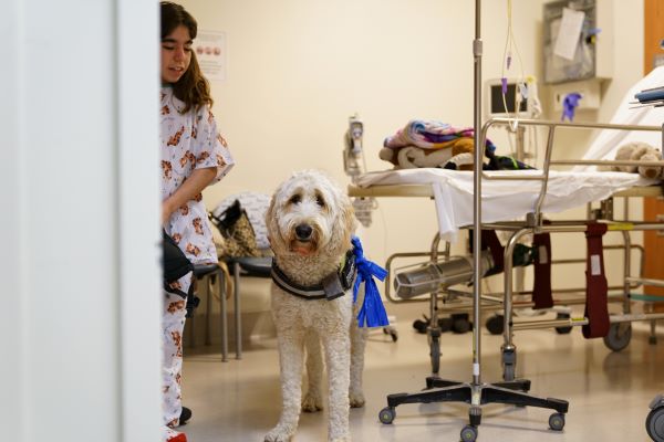 young radiology patient with pet therapy dog