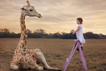 Long Live Childhood The Girl And The Giraffe