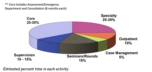 Psychology internship structure