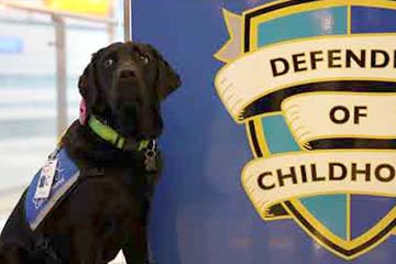 black lab next to defender of childhood seal