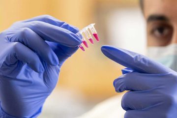 Researcher examining contents of vial