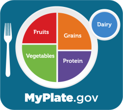 diagram of my plate portions