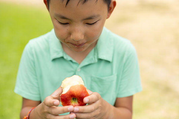 Young boy eats apple